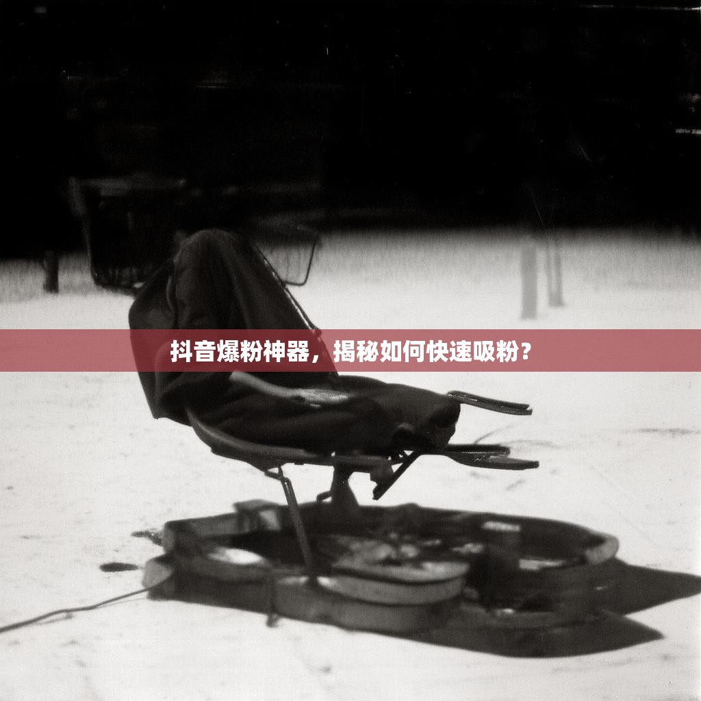 抖音爆粉神器，揭秘如何快速吸粉？