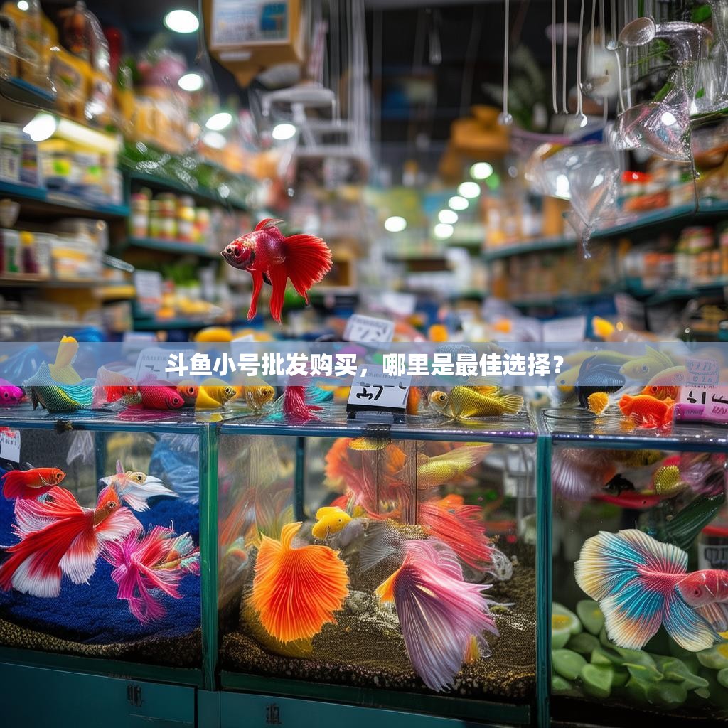 斗鱼小号批发购买，哪里是最佳选择？