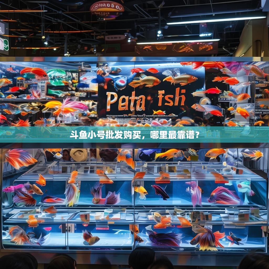 斗鱼小号批发购买，哪里最靠谱？