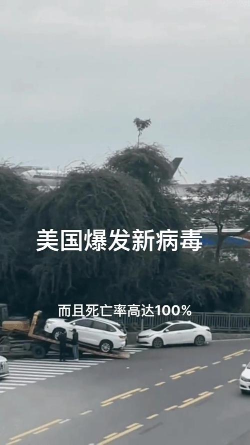 新冠导致多少人死亡？美国抗疫不力，甩锅无助解决疫情