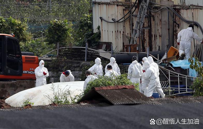 超过
9000例病例，或蔓延至邻近国家！日本疫情已导致近1000所学校关闭