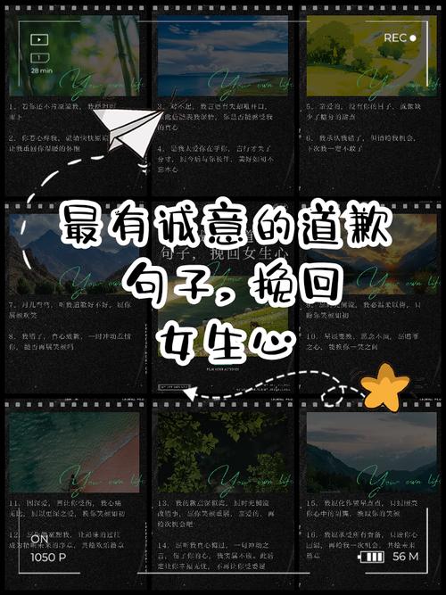 道歉挽回最感动的话，真诚求原谅盼重新开始赢回感情