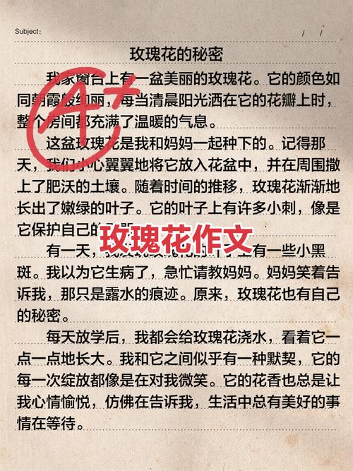 5月14日绣球花日记：修改日记体验、封控思考及玫瑰情人节