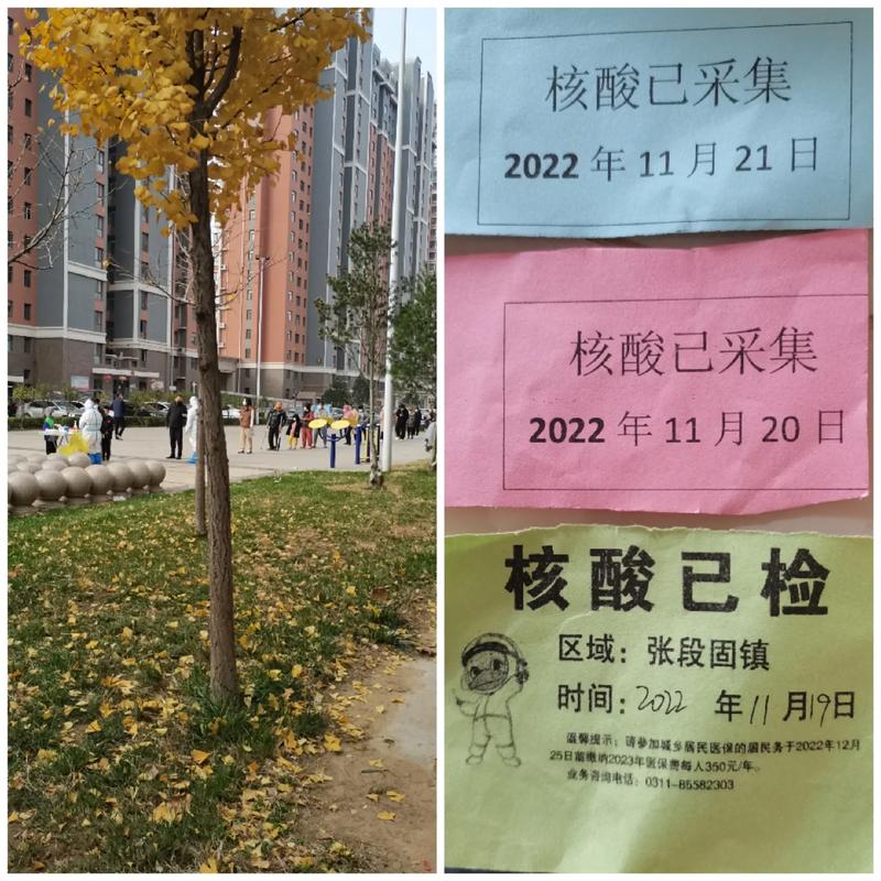 石家庄取消常态化核酸检测，多家机构被查，带来哪些影响？